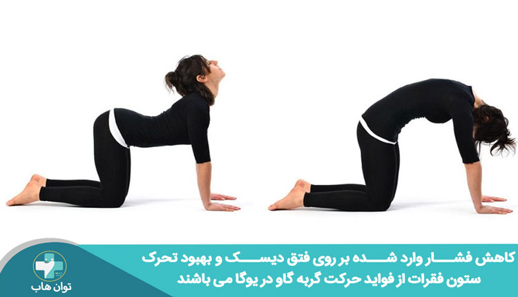 کاهش درد سیاتیک با حرکت گربه گاو